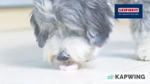 Máy Lau Nhà Hơi Nước LEIFHEIT Diệt Khuẩn Nhập Đức BH 12 Tháng