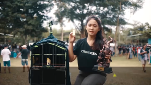 Minyak Penggacor Fumayyin Suplemen Alami Terbaik Bikin Burung Gacor Seketika