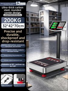 Precision Electronic Scale