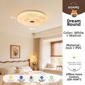 AOMAO | Retro French & Oriental Style Full Spectrum Ceiling Light