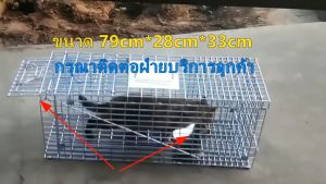 กรงดักแมว ดักจับจร สามารถพับได้ จับแมวจรจัด จับแมว ดักจับแมว ดักจับแมวจร ไล่แมวแบบถาวร แข็งแรง งแมว กับดักแมว