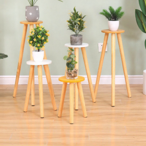 Indoor New 2024 Climbing Support Flower Rack