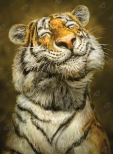 DIY 5D Diamond Painting Kit Cute Smiling Tiger Painting Embroidery Rhinestones Cross Stitch Mosaic Handicraft Living Room Gift
