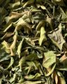 Lá Xông nhà thảo mộc _ Xông nhà tẩy uế trừ tà  chiêu tàu lộc _ gói 100g ( Bồ kết, vỏ bưởi, lá bưởi, xả, quế, gừng khô...). 