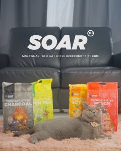SOAR Tofu Cat Litter Natural Plant Flushable Tofu Cat Litter 6L 2kg Tofu Cat Litter Control Odor And Keep Air Fresh