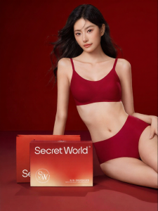 Secret World | Bride Underwear Set for Small Busts with Gathering and Seamfree Design Red