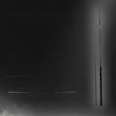 Daiwa | Lightweight Portable Long-Casting Spinning Rod