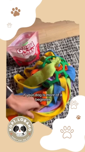 ✅[SG] DOG SNUFFLE BALL ENRICHMENT TOY ★ Nosework Training ★ FREE Recall Training e-Guide  Worth $7 ★ For Dog and Cat