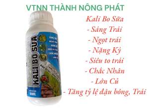 Phân bón Kali Bo Sữa 500ml tăng chất lượng nông sản sầu riêng thanh long cam bưởi lúa rau màu cây ăn quả hoa hồng cây mai vàng