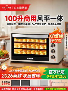 Commercial Large Capacity Baking Oven 100L