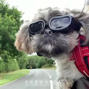 Professional Pet Goggles Full UV Protection 3D Contour Fit Dust Proof Seal Dual Vent System Collapsible Design