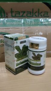 Kapsul Beluntas Herbal Mengusir Bau Badan Bau Mulut Pegal Linu Tazakka Original Isi 60 Kapsul