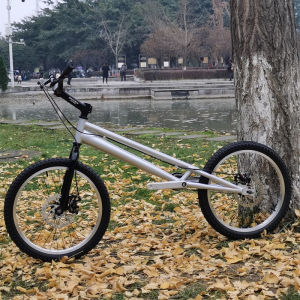 Sucry BMX Stunt Bike Extreme Sports Balance Bike for Kids Flower Design Single Bike Performance Cycling Equipment