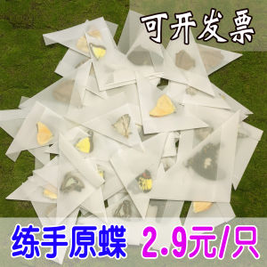 Unfaced Butterfly Specimen Large Blue Flash Butterfly Wings Home Decor Artwork Unframed Taxidermy Butterfly Sample from China