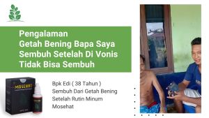Mosehat: Obat Kelenjar Getah Bening Herbal Ampuh untuk Tiroid & Ketiak BPOM Halal & Original Berkhasiat Dijamin Asli