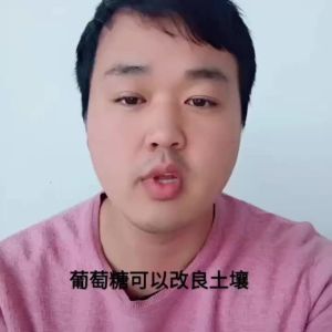 💗🙋‍♀️💗葡萄糖钛肥果树叶面肥抗逆着色增甜食用葡萄糖农用专用抗病