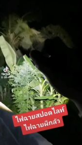 ไฟฉาย T9 Superไฟฉายแรงสูง ไฟฉายสปอตท์ไลท์ (สวิตซ์ข้าง)