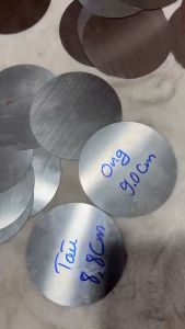 Phím còi hơi inox. Phím đàn hồi độ chế còi hơi kèn ong còi tàu....(1 chiếc)