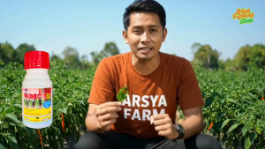 Insektisida Promectin 60EC 100ml Pembasmi Kutu Daun - Abamectin 60g/l