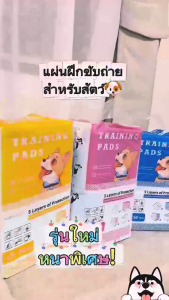 แผ่นรองฉี่สุนัขและแมว[สินค้าพร้อมส่ง]Hayina Pet Pads แผ่นรองซับสัตว์เลี้ยง ช่วยฝึกขับถ่าย