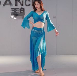 Adult Belly Dance Set Chiffon Dance Dress