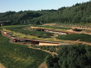 Antinori Castello della Sala Cervaro della Sala 2020 750ml 13% Italy Umbria Chardonnay White Wine