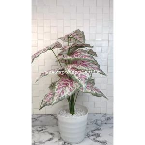 Pohon Daun Tanaman Artificial Calladium Pink X18 Semilatex Pot Ulir Lovenia Putih Plastik Dekorasi Rumah Cafe Aesthetic