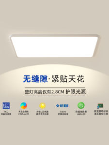Ultra-Thin Seamless Modern Minimalist Living Room LED Ceiling Light High Brightness Eye Protection Main Bedroom Lamp