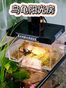 Hanging Turtle Platform with Sunlight bath lampTurtle Basking RoomHigh Water Level Turtle Climbing Platform