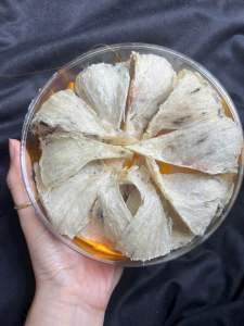 Nguyên chất 100% chân yến thô ít lông nhặt nhanh 20g tặng kèm nhíp và nguyên liệu