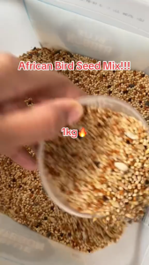 1kg African Mix Canary Mix All Stages Nutritional Bird Seeds Natural Pet Healthy Food Essentials