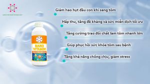 Nano Vitamin Vietnam Tech Giúp tôm phát triển nhanh Bổ sung vitamin thiết yếu Tăng đề kháng miễn dịch cho tôm cá chống chịu thời tiết khắc nghiệt 1000ml