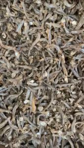 IKAN ASIN TERI CUE: Pelengkap Masakan dan Penyajian