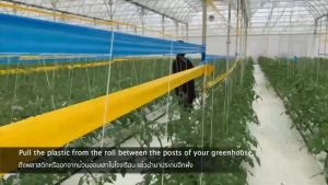 Keo bẫy ruồi vàng- cuộn keo bẫy côn trùng BioTrap