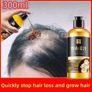 Shampo Penumbuh Rambut Cepat Anti Rambut Rontok & Botak Ginger Shampoo 300ml