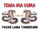 Tenda Dua Cobra