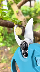 Máy Bấm Cành CâyMáy cắt tỉa cànhkéo cắt cây dùng pin sạc động cơ không chổi than siêu khỏe cho nghề làm vườn cây cảnh - Bảo Hành 24 tháng