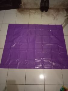 layang layang pelastik (kerangka rakitan) model kelabang