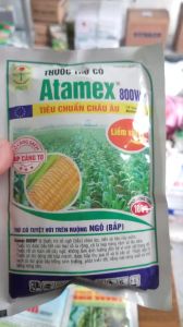 THUỐC CỎ NGÔ BẮP CHỌN LỌC TIỀN VÀ HẬU NẢY MẦM. ATAMEX TIÊU CHUẨN CHÂU ÂU