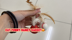 A must-have for cats to keep them entertained | Feather rubber bouncy ball a cat pet toy