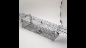 Reuseable Sensitive Mouse Trap Cage Bait Perangkap Tikus Mice Rat Rodent