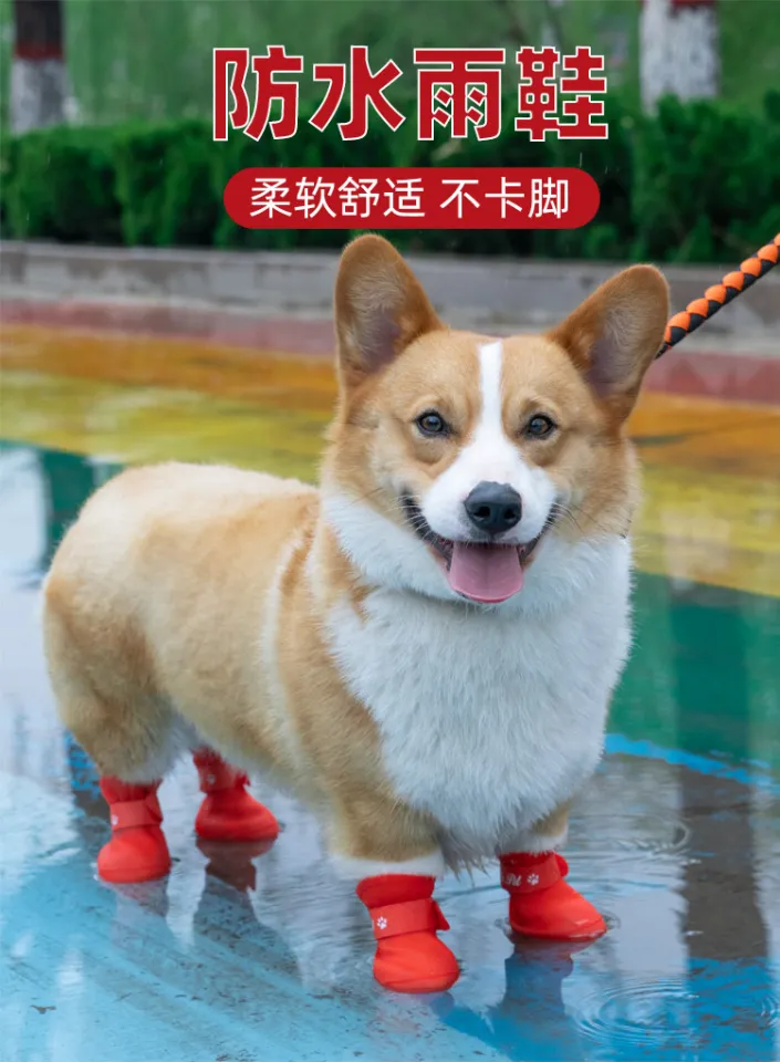 Corgi hot sale rain boots