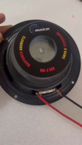 MUSICER 5 Inches Dual Magent Woofer Instrumental HI-FI Speaker 300 Watts