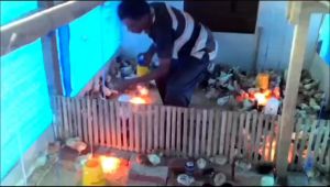 Vaksin Gumboro B Dosis 100 Vaksin Ayam