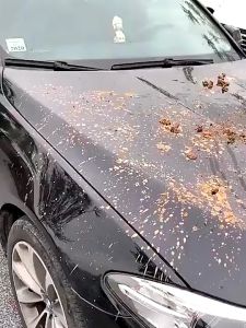 🔥รับประกัน 10 ปี🔥BOSCH 999VF ปืนฉีดน้ำแบบพกพา Cordless Water Jet เครื่องฉีดน้ำแรงดันสูง