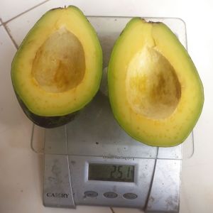 (1 Kg) Alpukat mentega isi 4 - 8 (mentah)