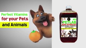 MULTIVITAMINSPREBIOTICS AND PROBIOTICS PETLAB JAPAN TECHNOLOGY - 350ML DOGS CATS POULTRY PIGS
