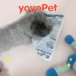 yoyopet :  แผ่นกัดสุนัข ของเล่นหมา มีเสียง ของเล่นกระดาษเสียง หนังสือพิมพ์จําลอง บรรเทาอาการกัด สําหรับสัตว์เลี้ยง