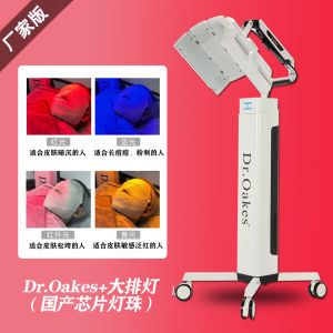 Professional Beauty Salon LED Light Therapy Device Red And Blue Light Acne Treatment Facial Beauty Instrument Skin Rejuvenation