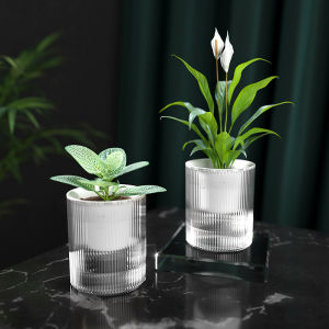 Nexcam Straight Semi Transparent Vertical Stripes Self Watering Planter Pot - Blurred Transparent Design, Easy Care, Minimalistic - Durable PET Plastic - Viewable Water Level - Swipe Left for Details